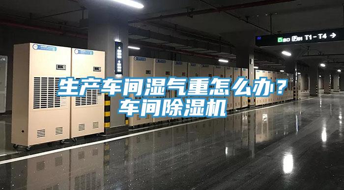 生產(chǎn)車間濕氣重怎么辦？車間除濕機(jī)