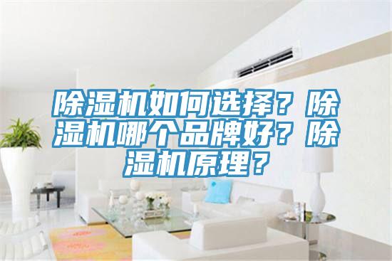 除濕機如何選擇？除濕機哪個品牌好？除濕機原理？