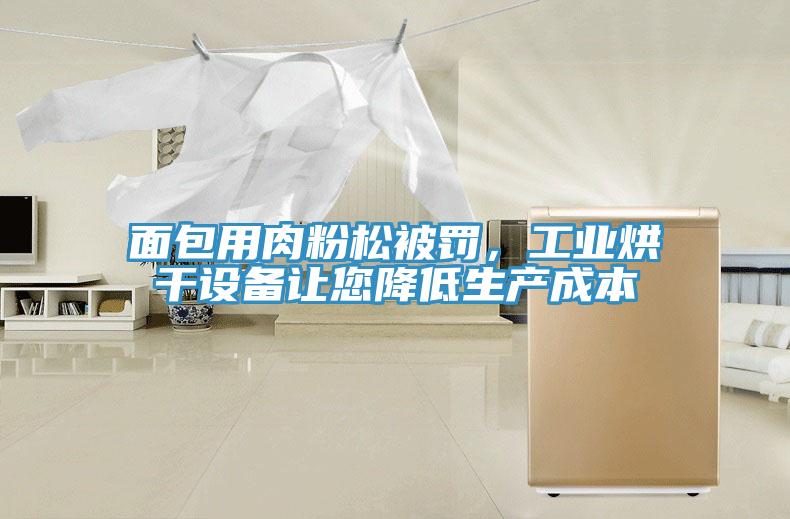 面包用肉粉松被罰，工業(yè)烘干設(shè)備讓您降低生產(chǎn)成本
