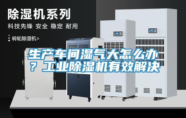 生產(chǎn)車間濕氣大怎么辦？工業(yè)除濕機(jī)有效解決