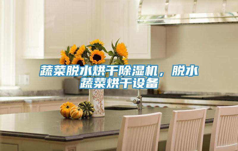 蔬菜脫水烘干除濕機(jī)，脫水蔬菜烘干設(shè)備