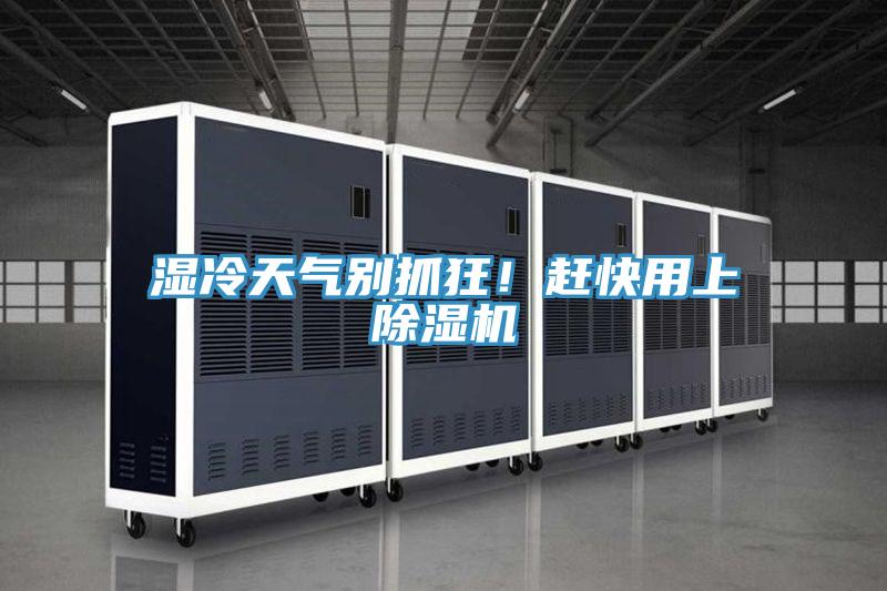 濕冷天氣別抓狂！趕快用上除濕機