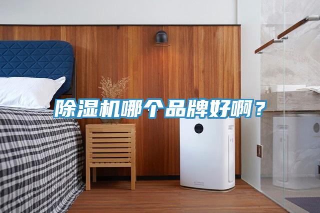 除濕機(jī)哪個(gè)品牌好??？