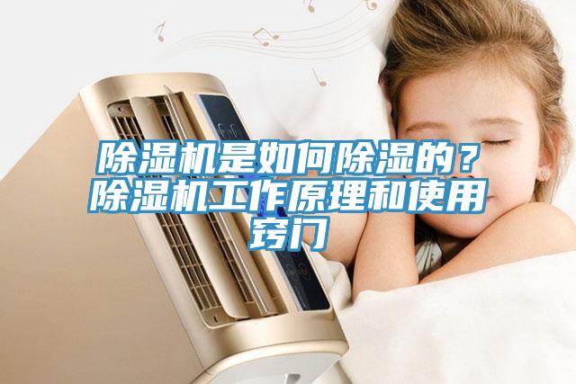 除濕機(jī)是如何除濕的？除濕機(jī)工作原理和使用竅門(mén)