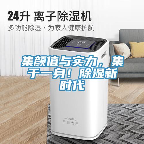 集顏值與實(shí)力，集于一身！除濕新時(shí)代
