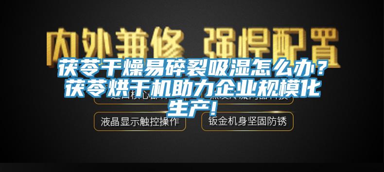 茯苓干燥易碎裂吸濕怎么辦？茯苓烘干機(jī)助力企業(yè)規(guī)模化生產(chǎn)!