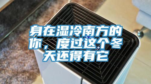 身在濕冷南方的你，度過這個(gè)冬天還得有它
