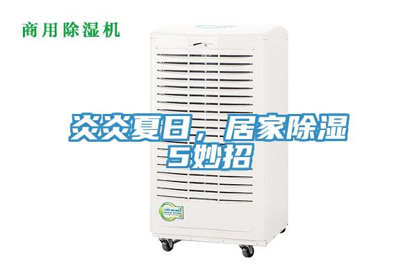 炎炎夏日，居家除濕5妙招
