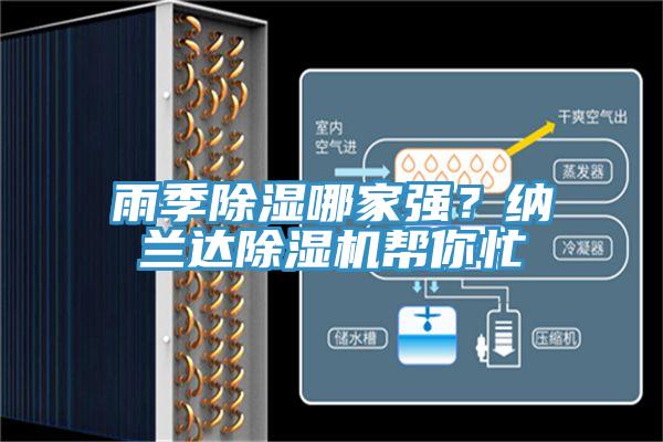 雨季除濕哪家強？納蘭達除濕機幫你忙