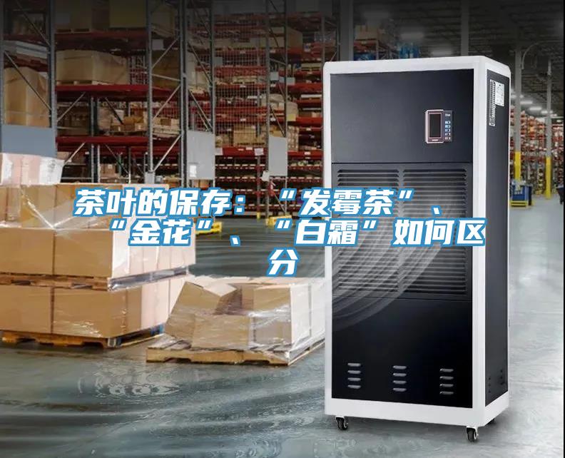 茶葉的保存：“發(fā)霉茶”、“金花”、“白霜”如何區(qū)分