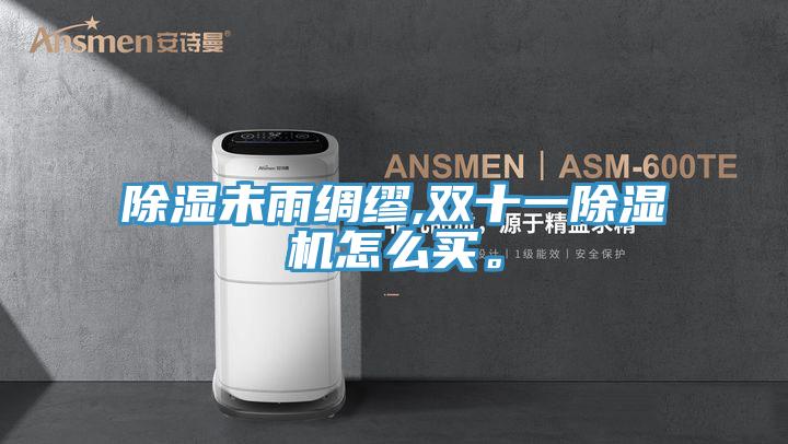 除濕未雨綢繆,雙十一除濕機怎么買。