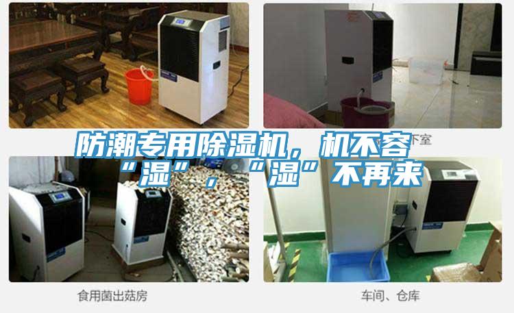 防潮專用除濕機(jī)，機(jī)不容“濕”，“濕”不再來
