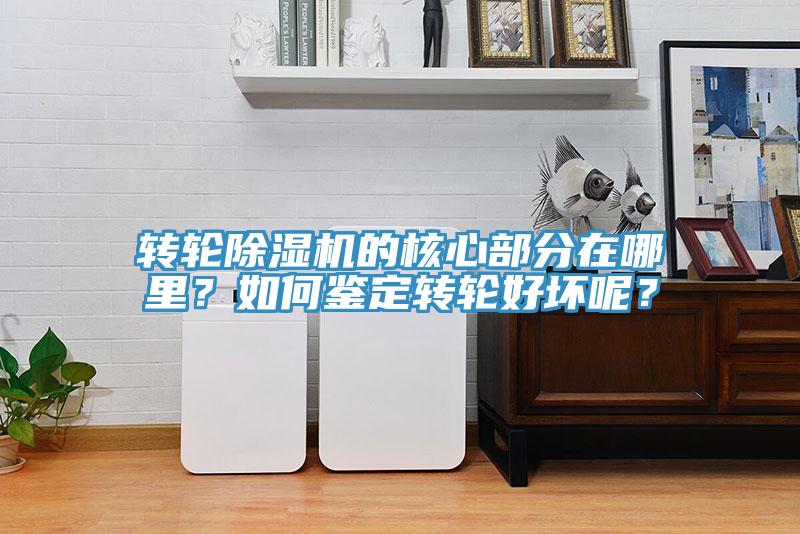 轉(zhuǎn)輪除濕機(jī)的核心部分在哪里？如何鑒定轉(zhuǎn)輪好壞呢？