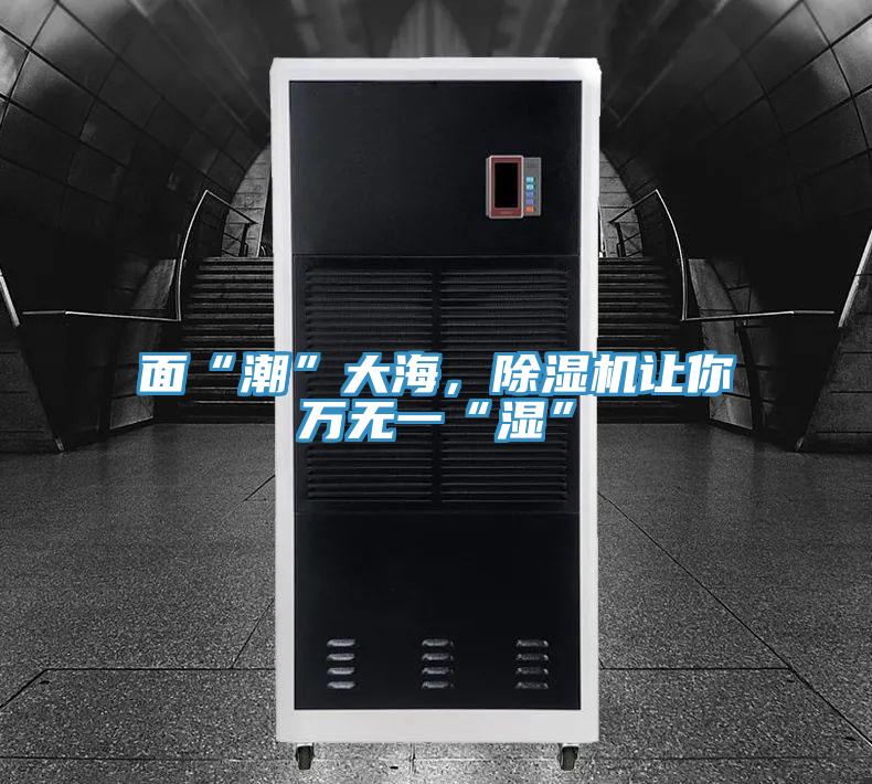 面“潮”大海，除濕機讓你萬無一“濕”