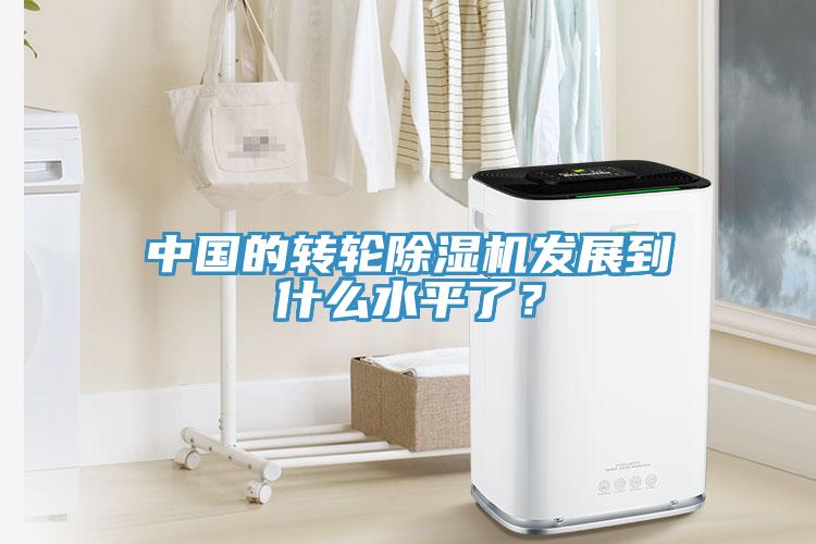 中國(guó)的轉(zhuǎn)輪除濕機(jī)發(fā)展到什么水平了？