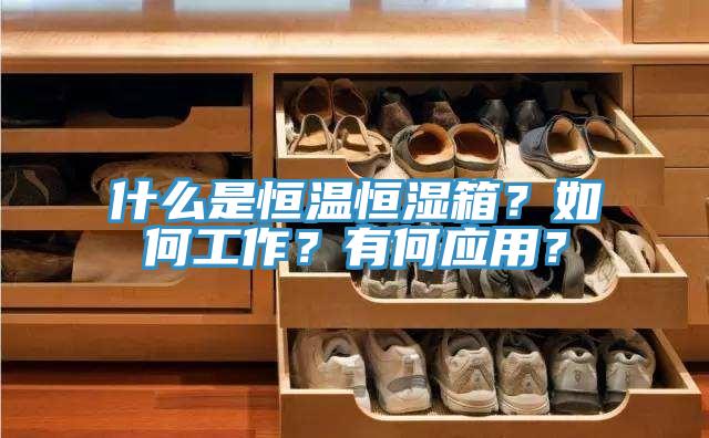 什么是恒溫恒濕箱？如何工作？有何應(yīng)用？