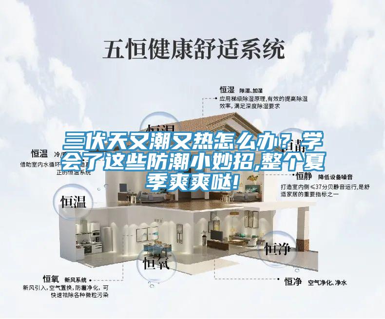 三伏天又潮又熱怎么辦？學(xué)會(huì)了這些防潮小妙招,整個(gè)夏季爽爽噠!
