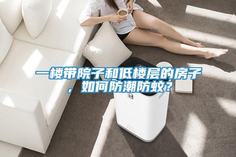 一樓帶院子和低樓層的房子，如何防潮防蚊？