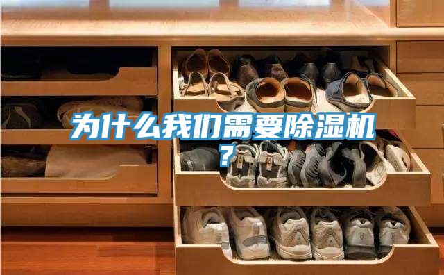 為什么我們需要除濕機？