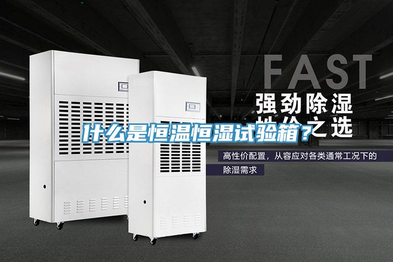 什么是恒溫恒濕試驗(yàn)箱？