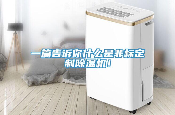 一篇告訴你什么是非標定制除濕機！