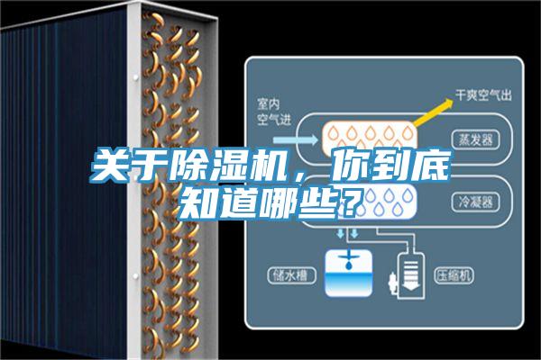 關(guān)于除濕機(jī)，你到底知道哪些？