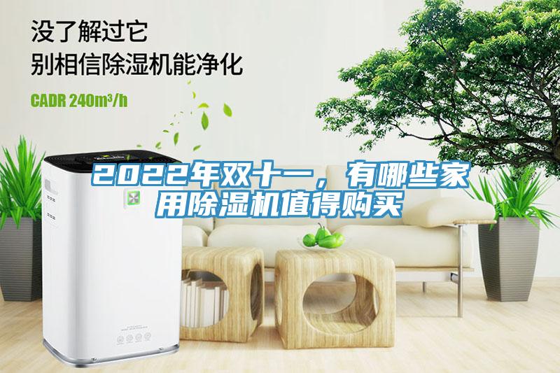 2022年雙十一，有哪些家用除濕機(jī)值得購買