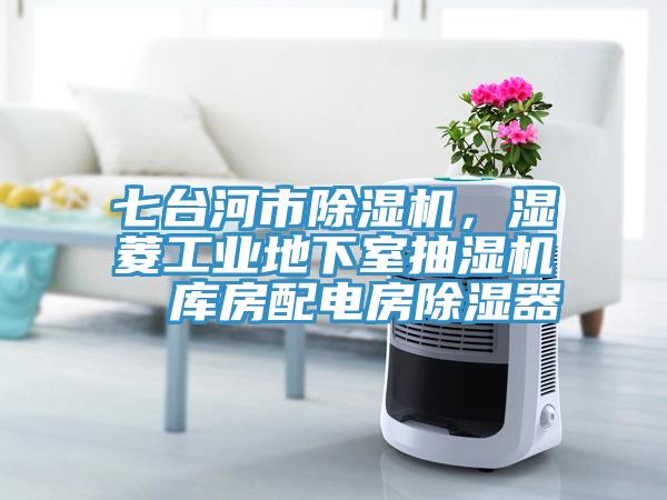 七臺(tái)河市除濕機(jī)，濕菱工業(yè)地下室抽濕機(jī)  庫(kù)房配電房除濕器