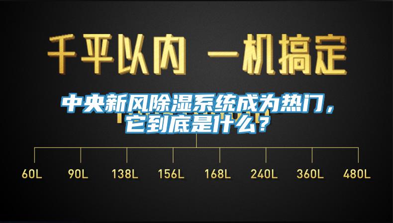 中央新風除濕系統(tǒng)成為熱門，它到底是什么？