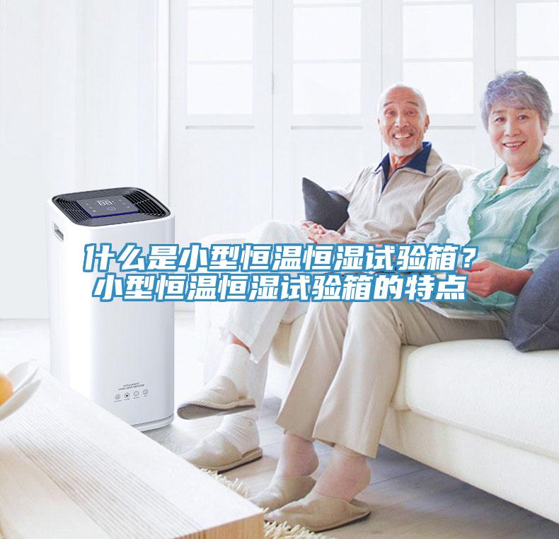 什么是小型恒溫恒濕試驗(yàn)箱？小型恒溫恒濕試驗(yàn)箱的特點(diǎn)
