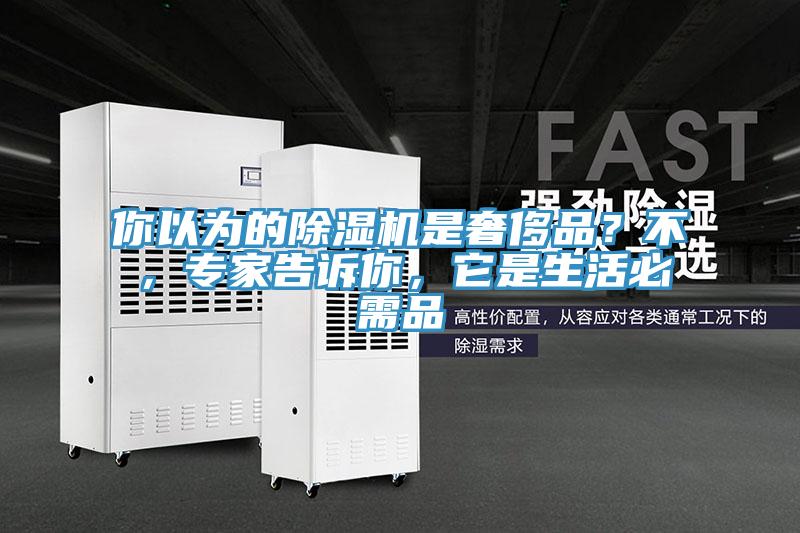 你以為的除濕機(jī)是奢侈品？不，專家告訴你，它是生活必需品