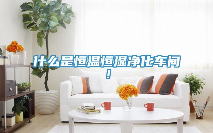 什么是恒溫恒濕凈化車間！