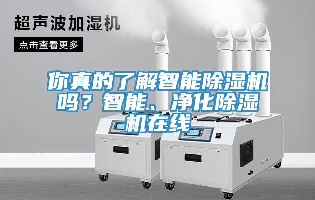 你真的了解智能除濕機(jī)嗎？智能、凈化除濕機(jī)在線