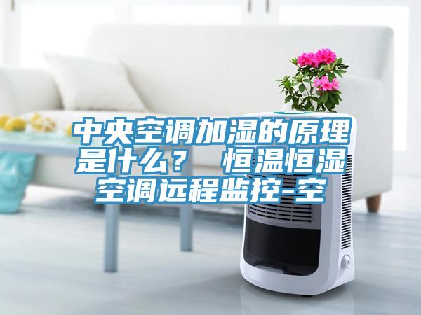 中央空調加濕的原理是什么？ 恒溫恒濕空調遠程監(jiān)控-空