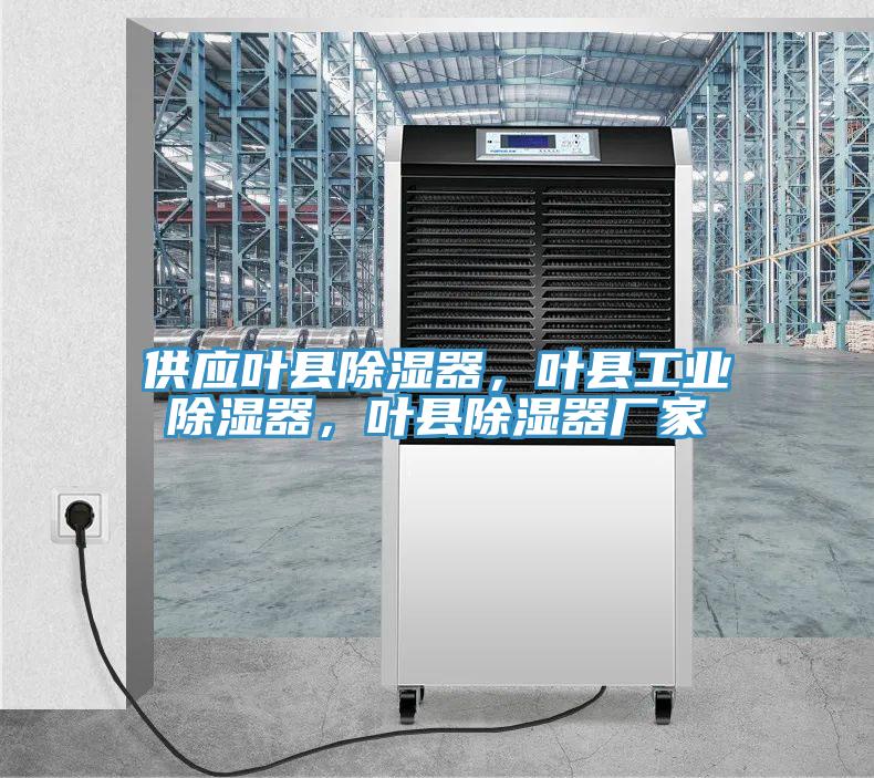 供應葉縣除濕器，葉縣工業(yè)除濕器，葉縣除濕器廠家