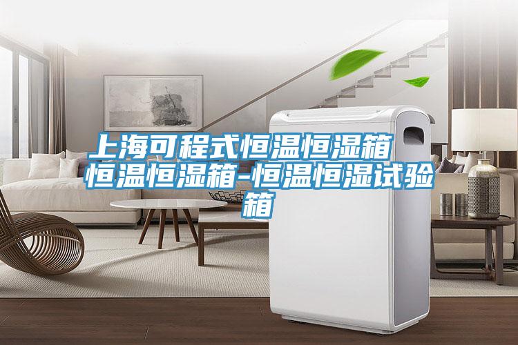 上?？沙淌胶銣睾銤裣? 恒溫恒濕箱-恒溫恒濕試驗箱