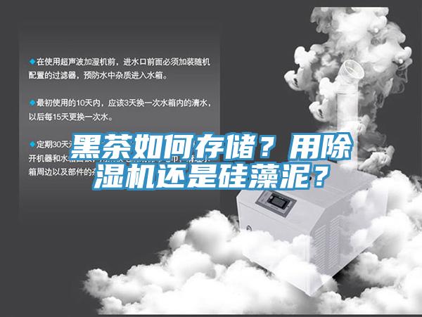 黑茶如何存儲(chǔ)？用除濕機(jī)還是硅藻泥？