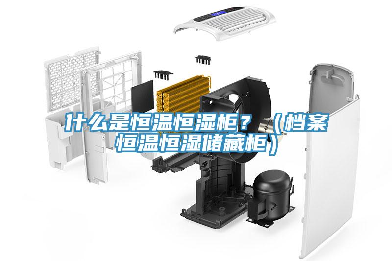 什么是恒溫恒濕柜？（檔案恒溫恒濕儲(chǔ)藏柜）