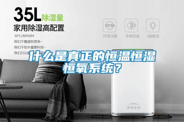 什么是真正的恒溫恒濕恒氧系統(tǒng)？