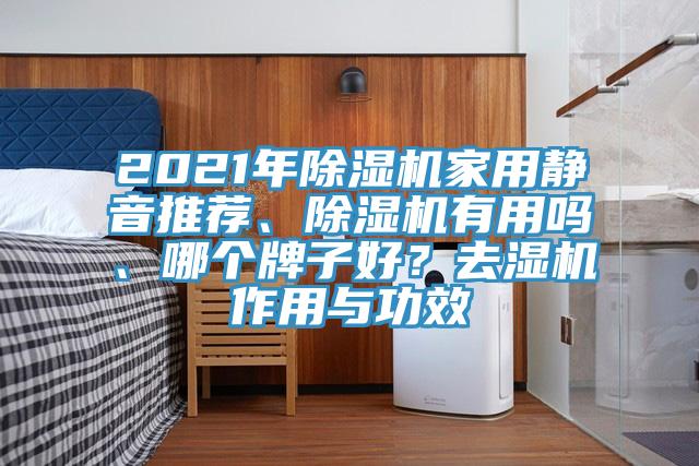2021年除濕機(jī)家用靜音推薦、除濕機(jī)有用嗎、哪個(gè)牌子好？去濕機(jī)作用與功效