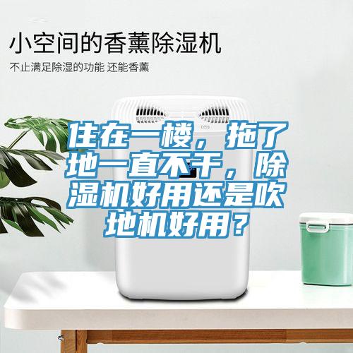 住在一樓，拖了地一直不干，除濕機(jī)好用還是吹地機(jī)好用？