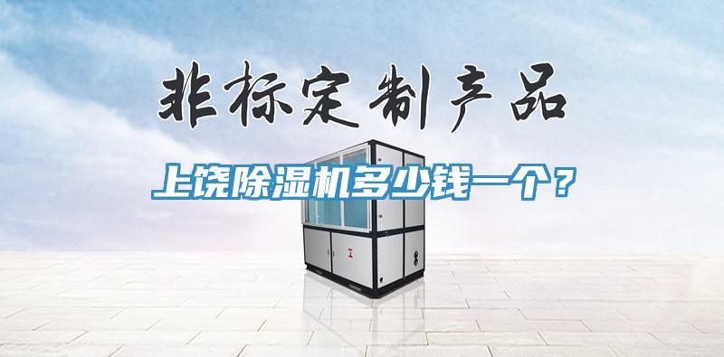 上饒除濕機多少錢一個？