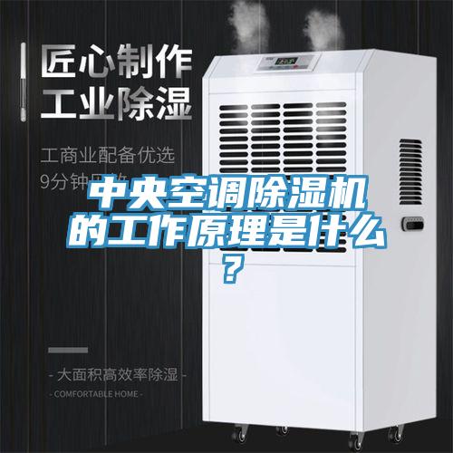 中央空調除濕機的工作原理是什么？
