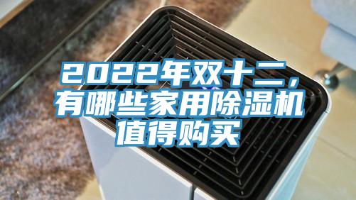 2022年雙十二，有哪些家用除濕機(jī)值得購買