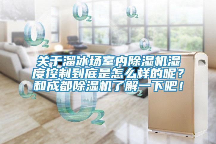 關(guān)于溜冰場(chǎng)室內(nèi)除濕機(jī)濕度控制到底是怎么樣的呢？和成都除濕機(jī)了解一下吧！