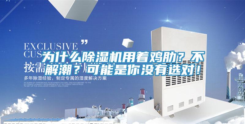 為什么除濕機用著雞肋？不解潮？可能是你沒有選對！
