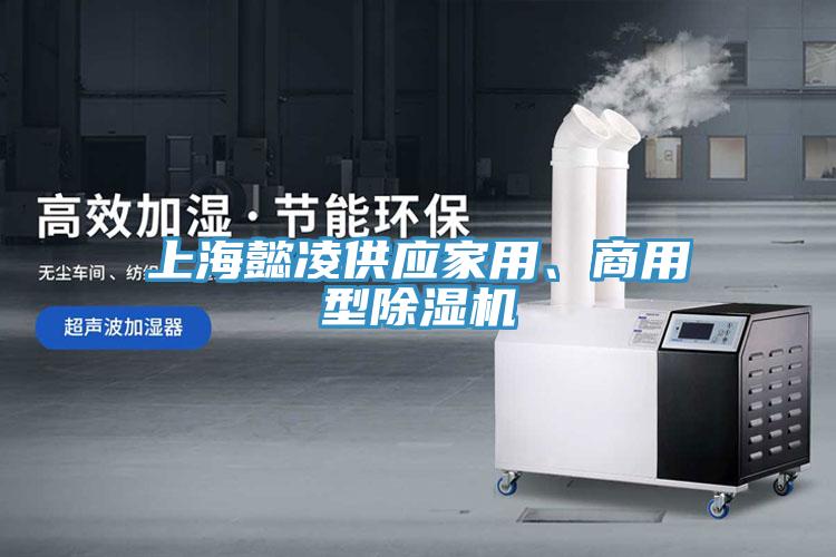 上海懿凌供應(yīng)家用、商用型除濕機(jī)
