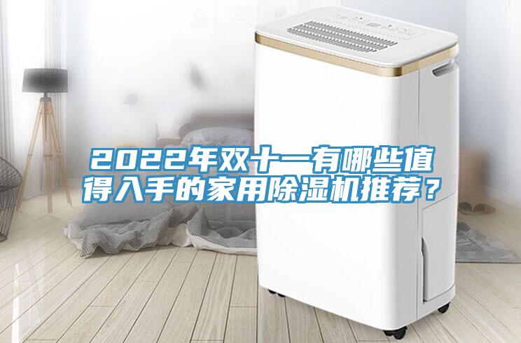 2022年雙十一有哪些值得入手的家用除濕機(jī)推薦？