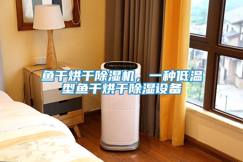 魚(yú)干烘干除濕機(jī)，一種低溫型魚(yú)干烘干除濕設(shè)備
