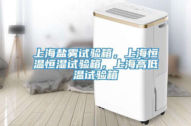 上海鹽霧試驗(yàn)箱，上海恒溫恒濕試驗(yàn)箱，上海高低溫試驗(yàn)箱